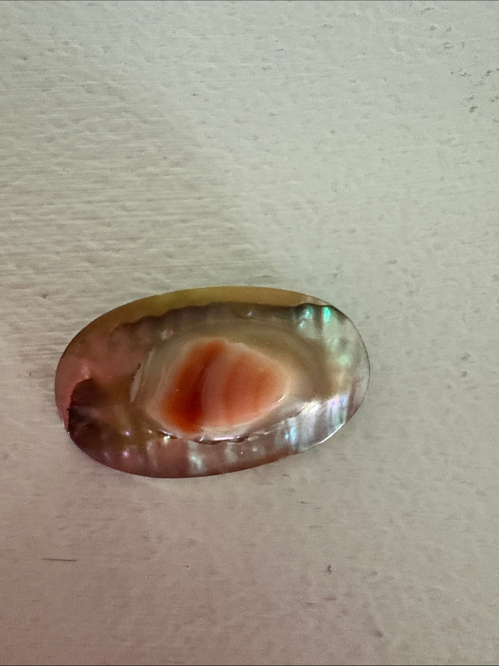 Vintage Iridescent Abalone Shell brooch with Coral Accent